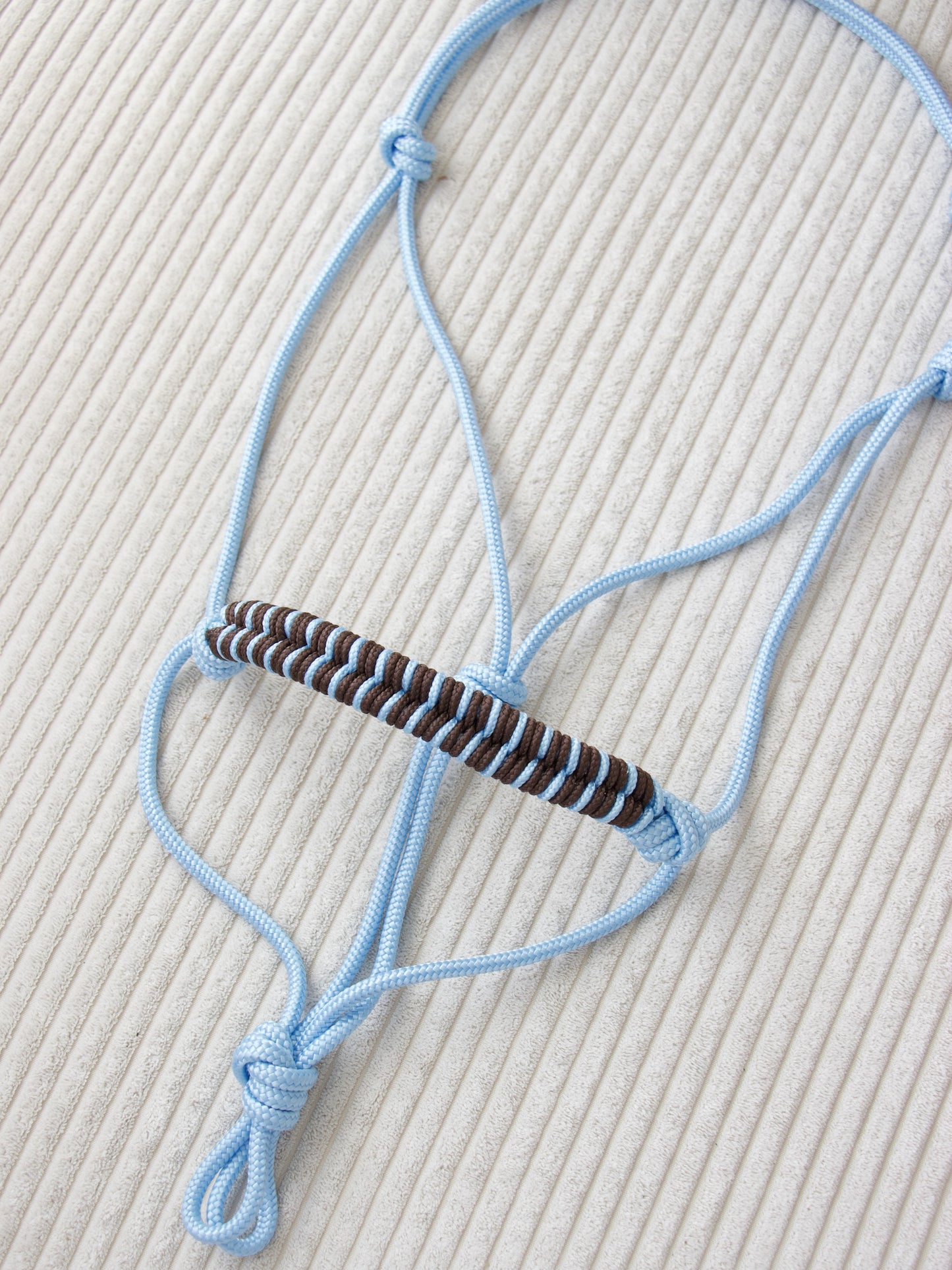 Licol épi bleu pastel / marron