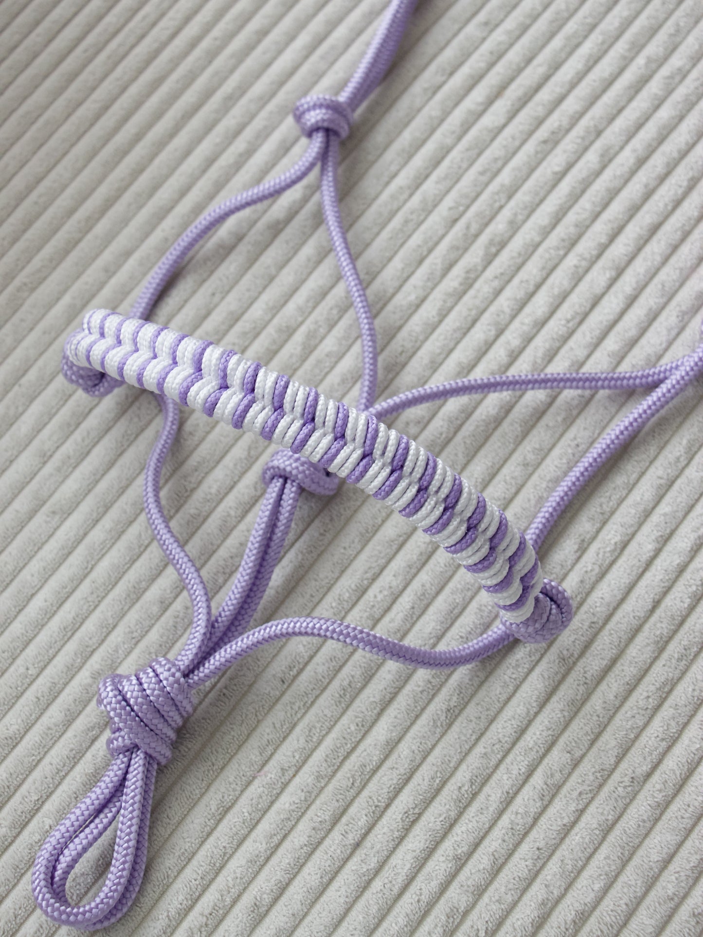 Licol éthologique épi lilas / blanc