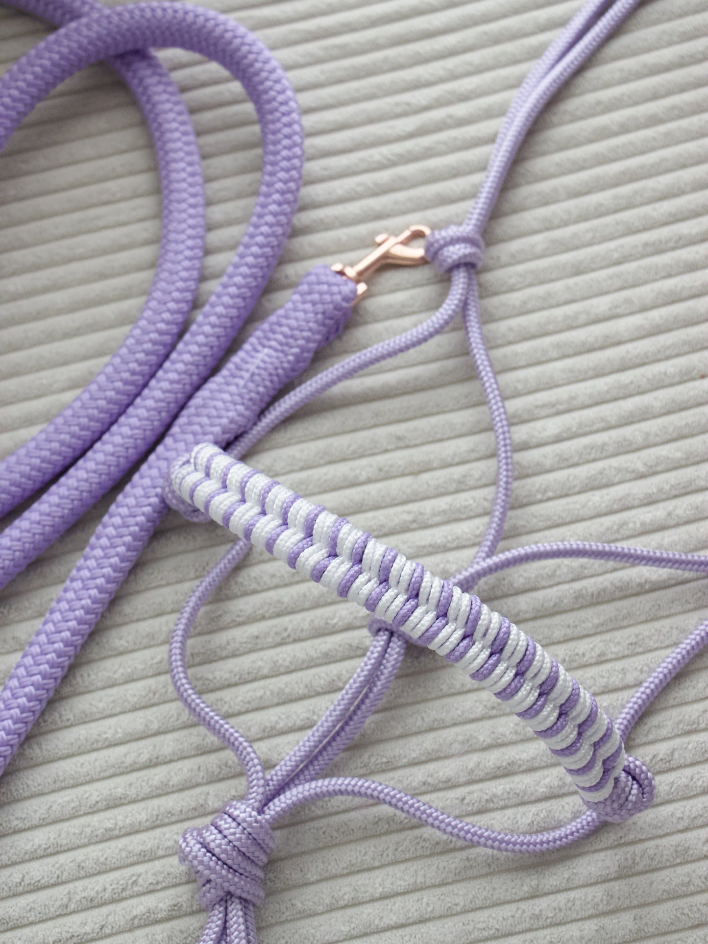 Ensemble Licol/Longe lilas/blanc