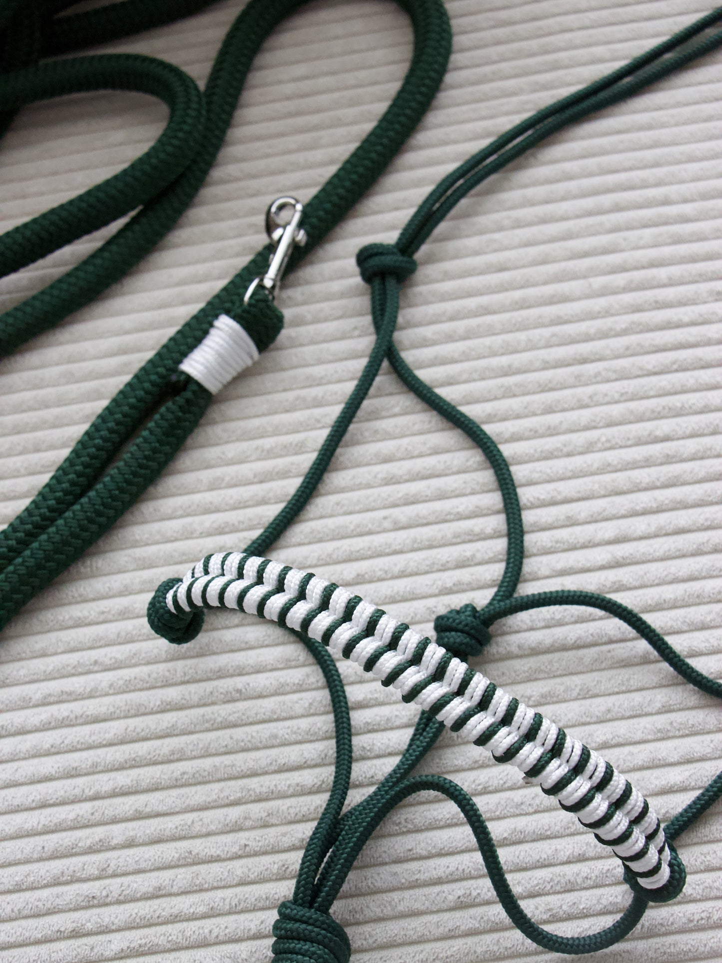 Ensemble Licol/Longe vert sapin/blanc