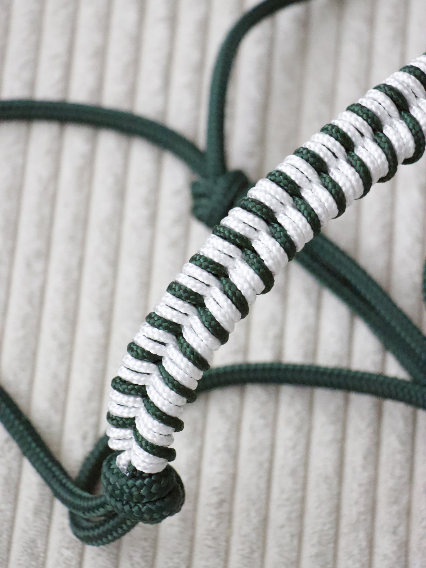 Licol éthologique épi vert sapin / blanc