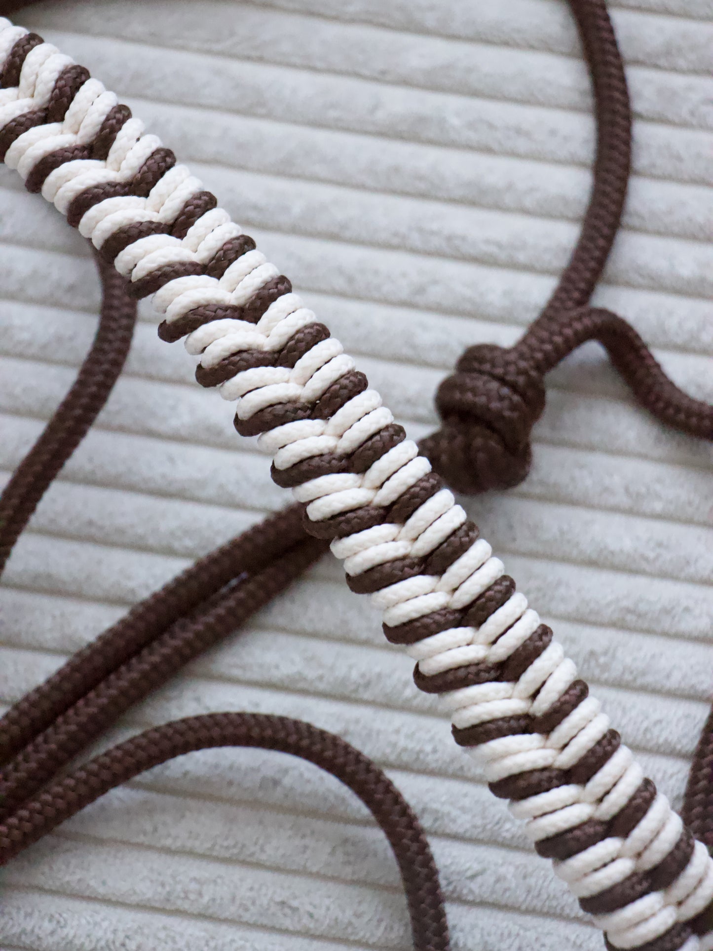 Licol éthologique épi marron / beige