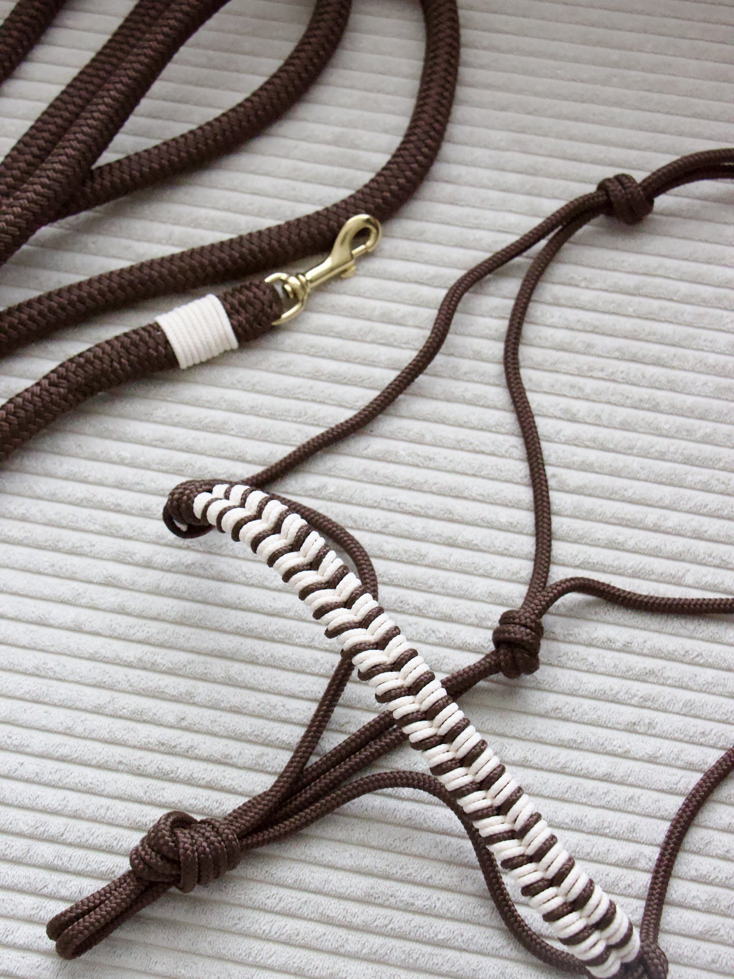 Ensemble Licol/longe marron/beige