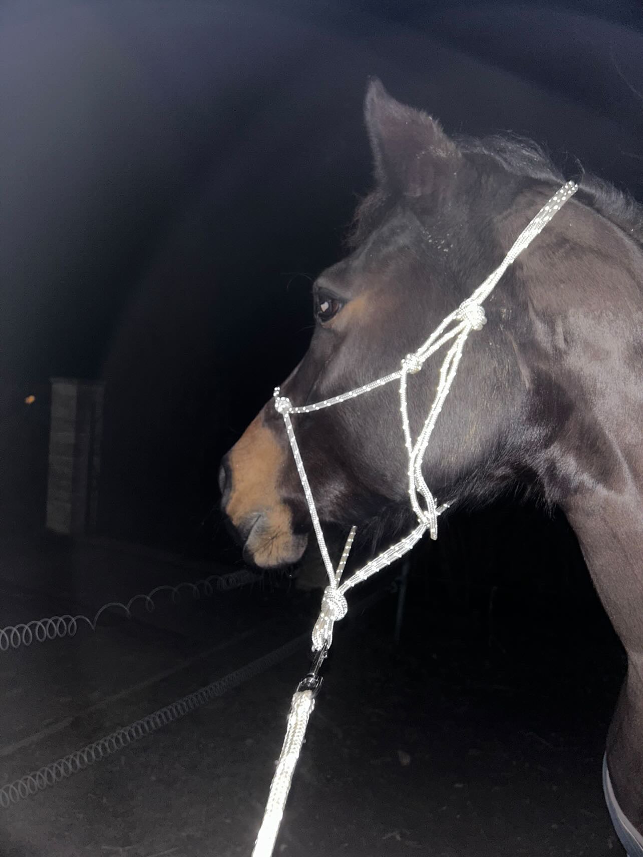 COLLECTION RÉFLÉCHISSANTE