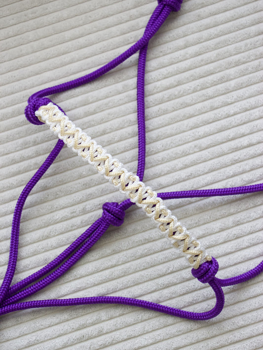 Licol éthologique pyramid violet foncé/ blanc/ doré