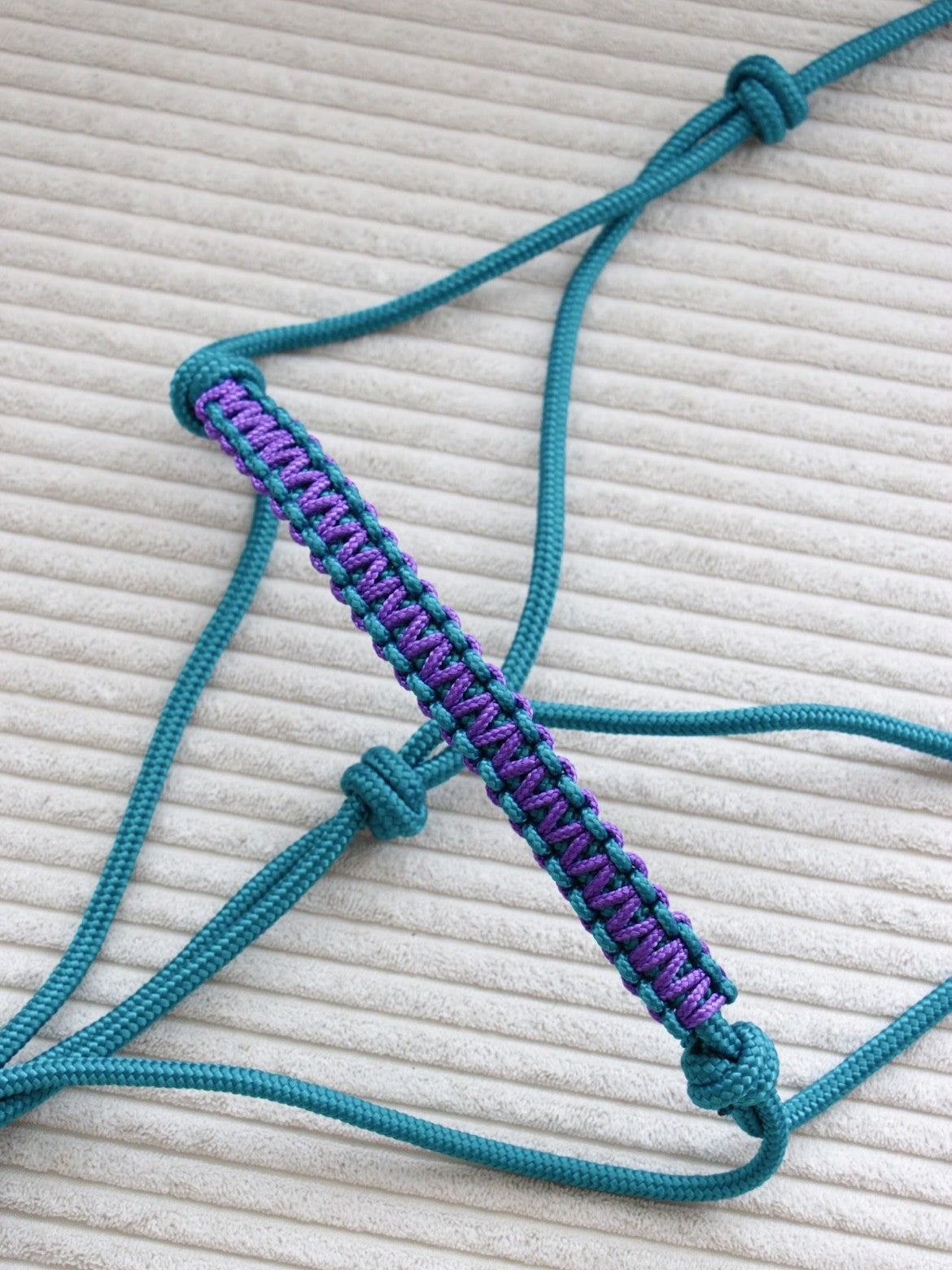 Licol éthologique WW bleu aqua/ violet foncé