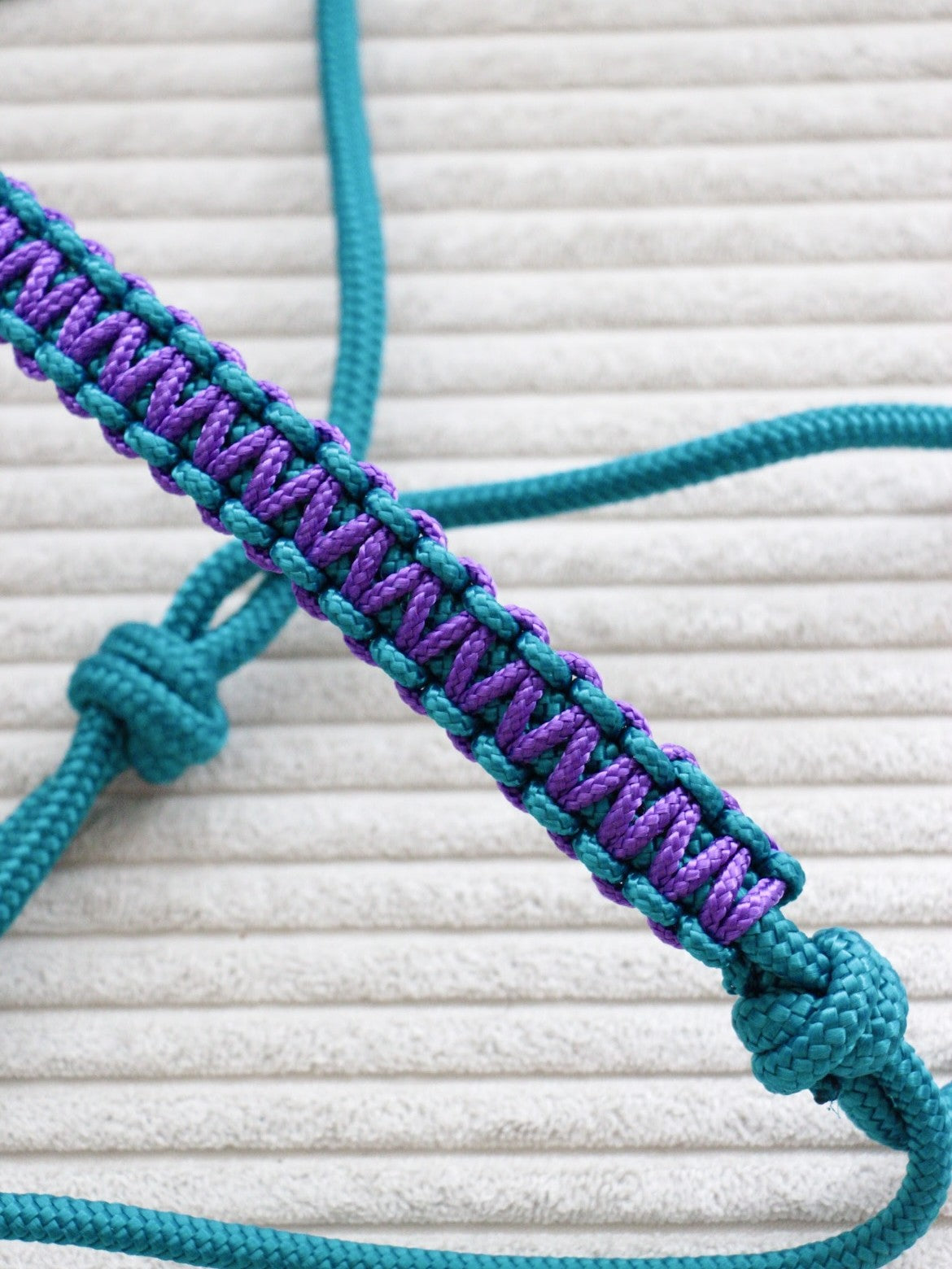 Licol éthologique WW bleu aqua/ violet foncé